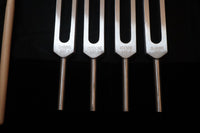 DNA Tuning Fork Set - Professionally Tuned .25 Hz, Bio-field, Sound Vibration, Unweighted 4pc Set, Velvet Carry Bag