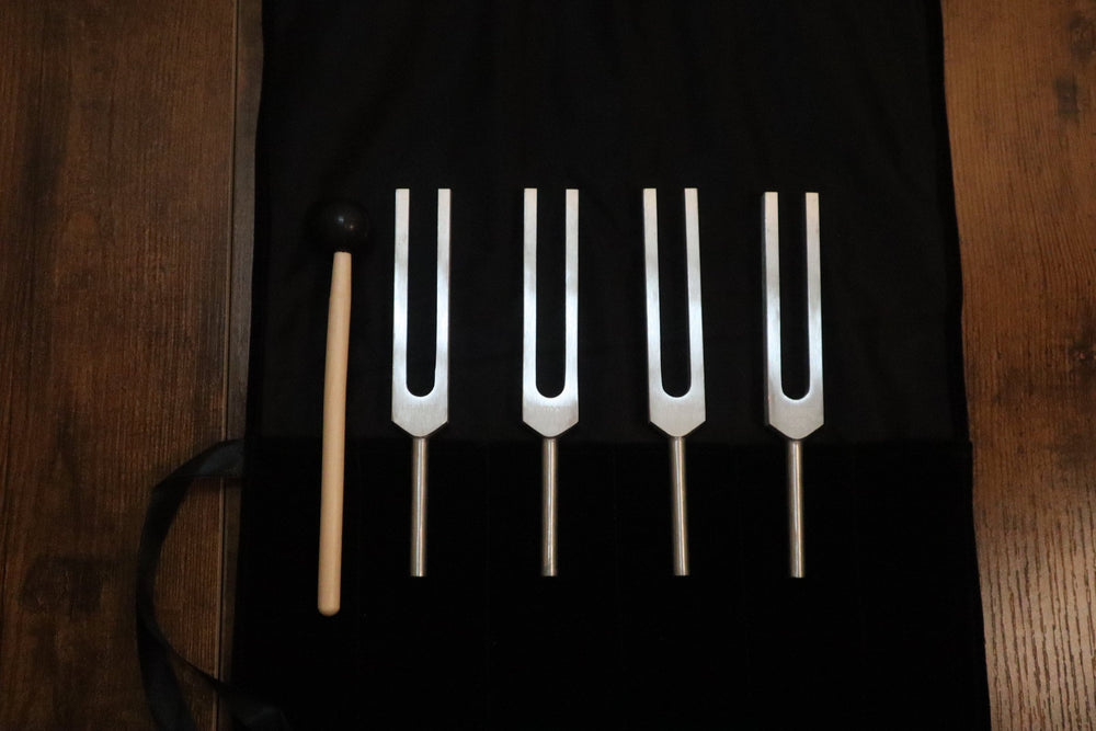 DNA Tuning Fork Set - Professionally Tuned .25 Hz, Bio-field, Sound Vibration, Unweighted 4pc Set, Velvet Carry Bag