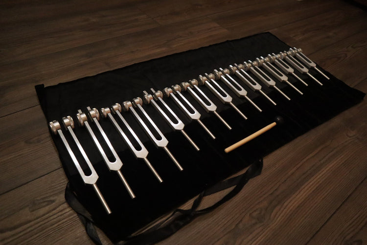 Myriad Melodies' Professionally Tuned .25 15pc Human Biology Tuning Fork Set - Organs Tissue Cells Sound Vibration, Bio-field, Carry Bag