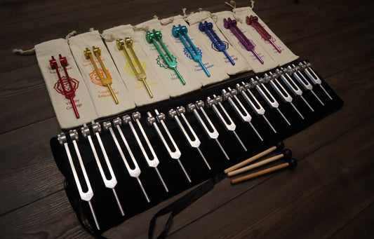 23pc Human Biology And Chakra Tuning Fork Bundle - Professionally Tuned .25 - Weighted, Bio-field, Sound Vibration