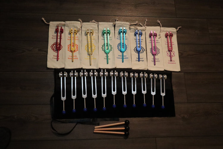 19pc Chakra and Planetary Tuning Fork - Professionally Tuned .25 - Weighted, Astrology, Chakras, Sound Vibration, Bio-field