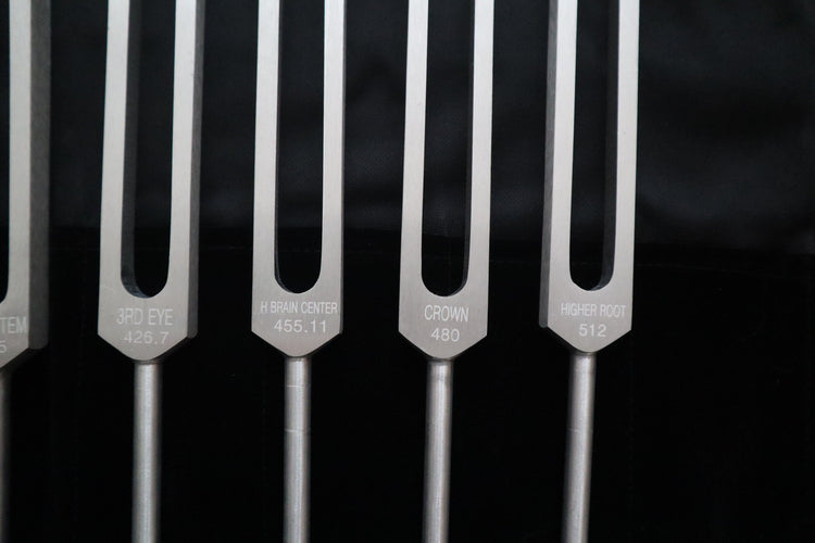 Chromatic Scale of The Perfect Fifth 13pc Tuning Fork Set - Professionally Tuned .25 Hz, Unweighted, Bio-field, Sound Vibration