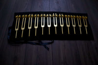 12pc Song of the Spine Tuning Fork Set Professionally Tuned .25 Hz - Bio-field - Organs, Tissue, and Cells, Sound Vibration, Bag