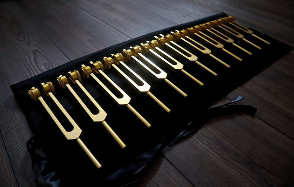 12pc Song of the Spine Tuning Fork Set Professionally Tuned .25  - Bio-field - Organs, Tissue, and Cells, Sound Vibration, Bag