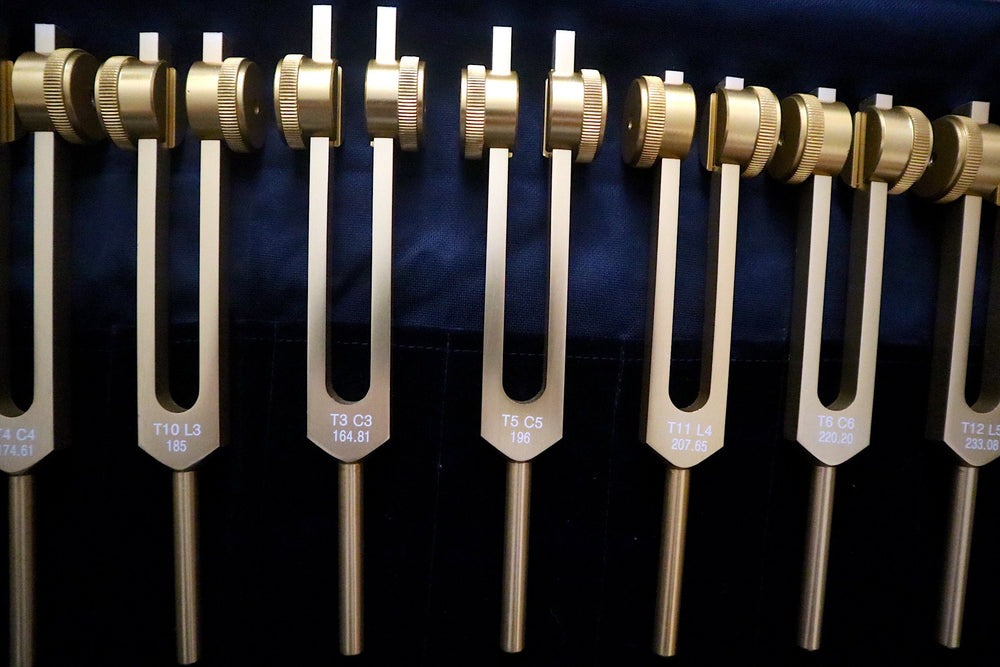 12pc Song of the Spine Tuning Fork Set Professionally Tuned .25 Hz - Bio-field - Organs, Tissue, and Cells, Sound Vibration, Bag