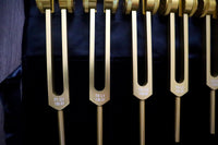 12pc Song of the Spine Tuning Fork Set Professionally Tuned .25 Hz - Bio-field - Organs, Tissue, and Cells, Sound Vibration, Bag