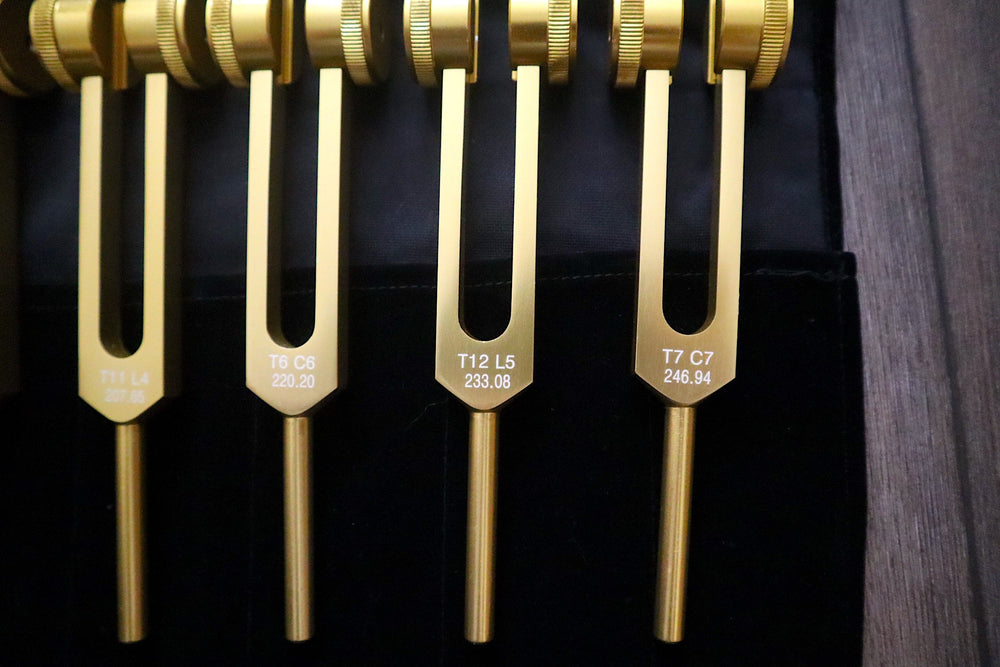 12pc Song of the Spine Tuning Fork Set Professionally Tuned .25 Hz - Bio-field - Organs, Tissue, and Cells, Sound Vibration, Bag