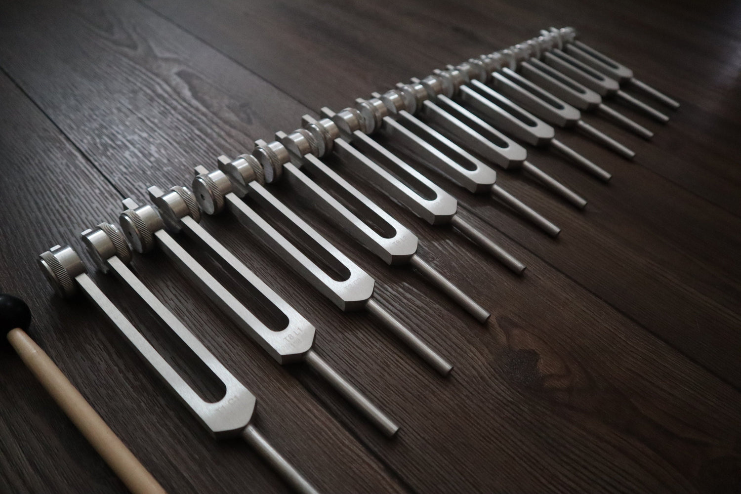 12pc Song of the Spine Tuning Fork Set Professionally Tuned .25 Hz - Bio-field - Organs, Tissue, and Cells, Sound Vibration, Bag