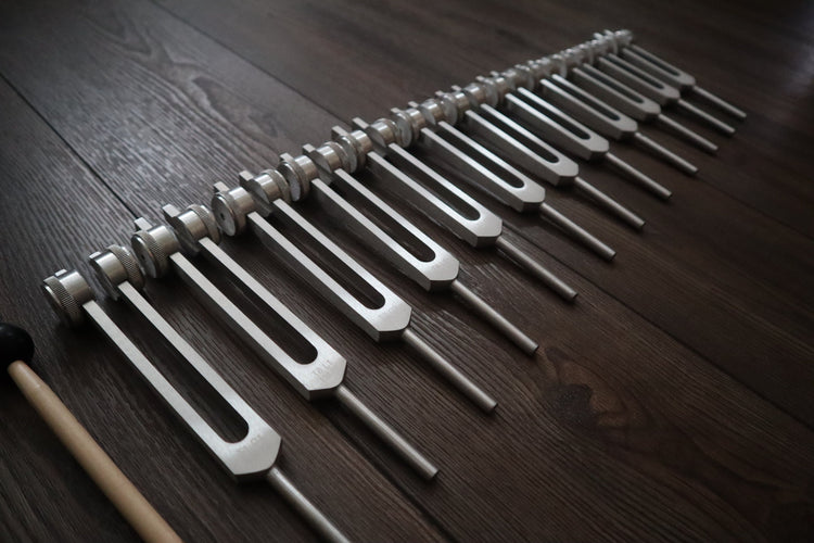 12pc Song of the Spine Tuning Fork Set Professionally Tuned .25 Hz - Bio-field - Organs, Tissue, and Cells, Sound Vibration, Bag