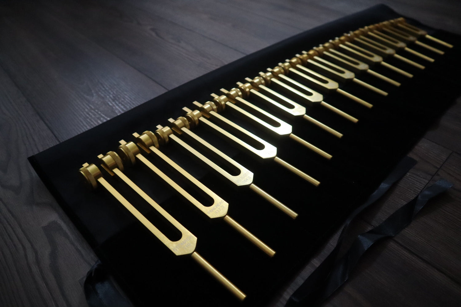 24pc Human Biology and Secret Solfeggio Tuning Fork - Professionally Tuned .25 - Gold, Silver Bio-field Sound Vibration