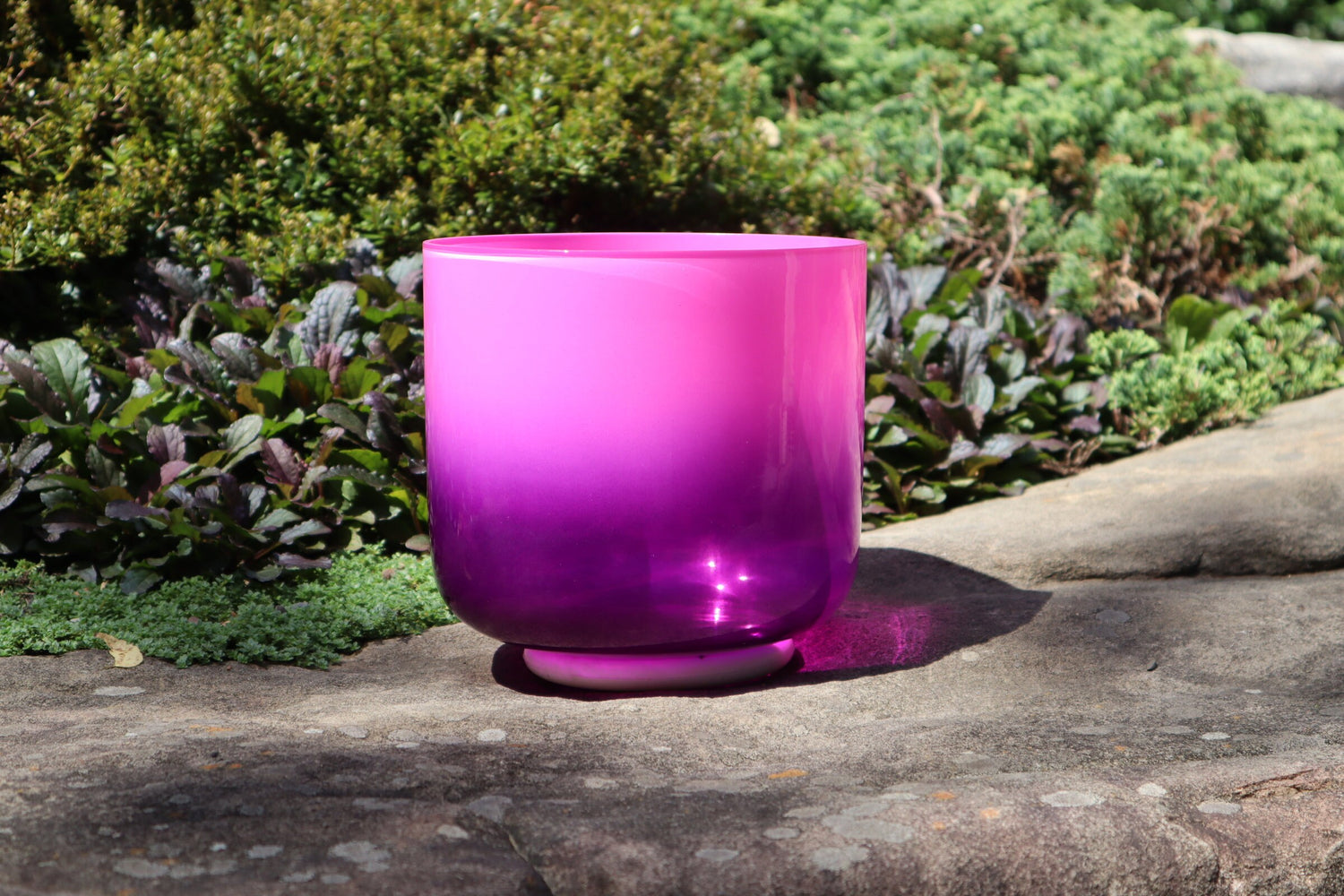 Pink Aura - Premium Clear 7" Crystal Singing Bowl and Tuning Fork , 432 Hz F-Note w/ Bag Bundle, 99% Quartz Crystal Bowl, Mallet, Case