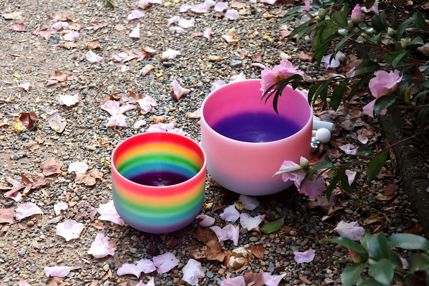 528 Hz Rainbow and 432 Hz Pink Aura Bowl - 174Hz Solfeggio Tuning Fork - Mallet, Suede Striker, Carry Case, Sound Vibration, Gift For Her