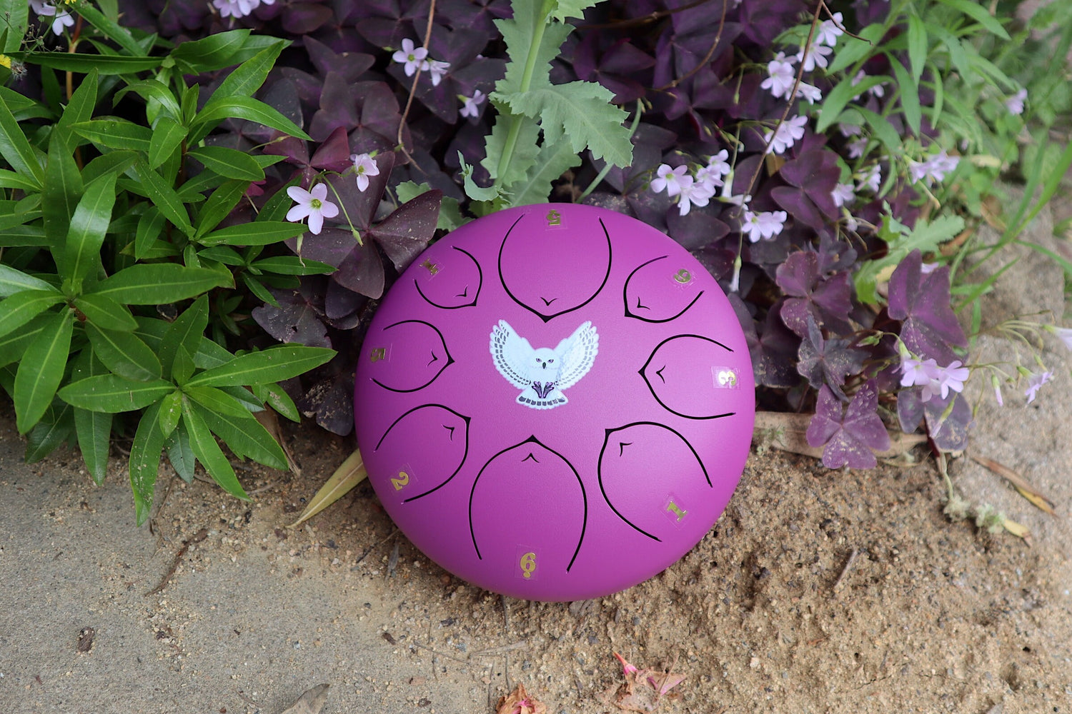 Virtuous Owl - 8" Steel Tongue Drum - F Key - Wisdom, Guidance, Mystery, Shamanic Drum, Ethereal Drum Vibration, Tank Drum