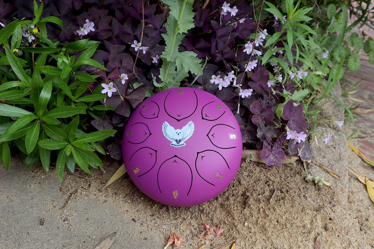 Virtuous Owl - 8" Steel Tongue Drum - F Key - Wisdom, Guidance, Mystery, Shamanic Drum, Ethereal Drum Vibration, Tank Drum