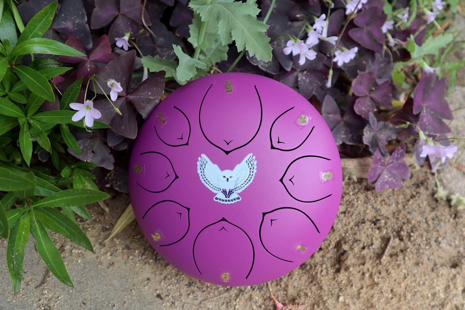 Virtuous Owl - 8" Steel Tongue Drum - F Key - Wisdom, Guidance, Mystery, Shamanic Drum, Ethereal Drum Vibration, Tank Drum