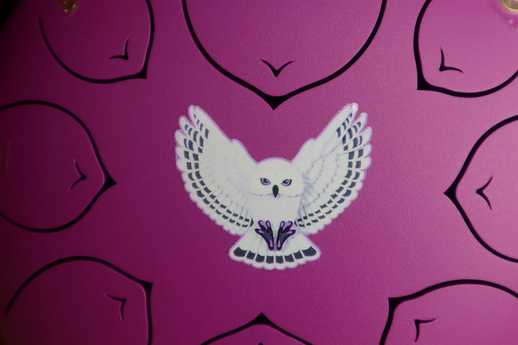 Virtuous Owl - 8" Steel Tongue Drum - F Key - Wisdom, Guidance, Mystery, Shamanic Drum, Ethereal Drum Vibration, Tank Drum